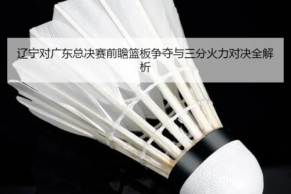 辽宁对广东总决赛前瞻篮板争夺与三分火力对决全解析 | kaiyun